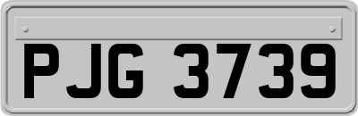 PJG3739