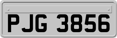 PJG3856