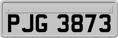PJG3873