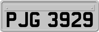 PJG3929