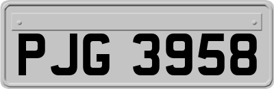 PJG3958