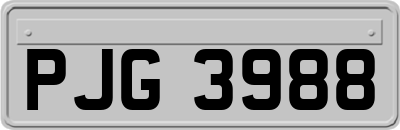 PJG3988
