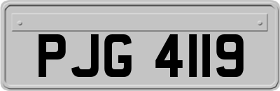 PJG4119