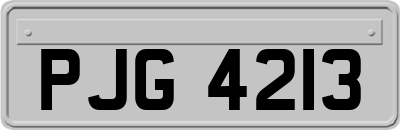 PJG4213