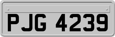 PJG4239
