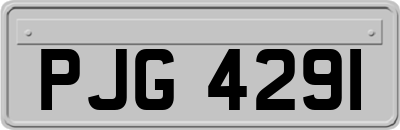 PJG4291