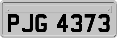 PJG4373