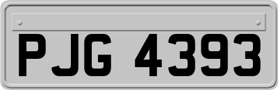 PJG4393