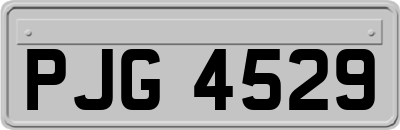 PJG4529