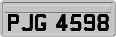 PJG4598
