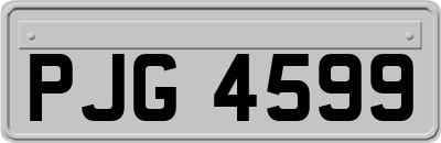 PJG4599