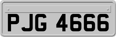 PJG4666