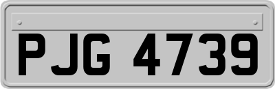 PJG4739