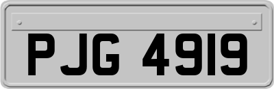 PJG4919