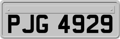 PJG4929