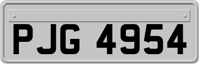 PJG4954