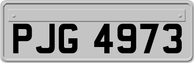 PJG4973