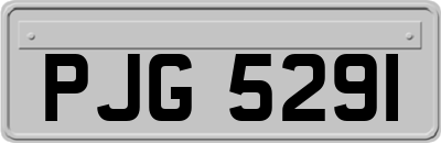 PJG5291