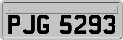 PJG5293
