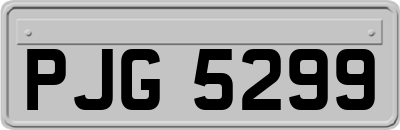 PJG5299