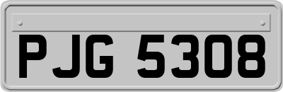 PJG5308