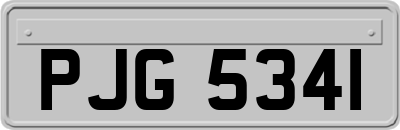 PJG5341