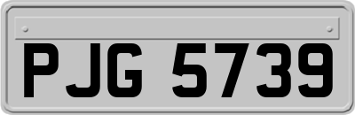 PJG5739