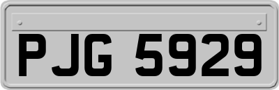 PJG5929