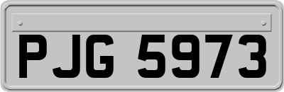 PJG5973