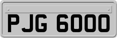 PJG6000