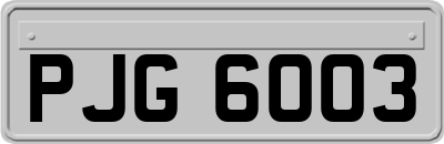 PJG6003