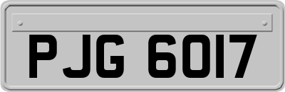 PJG6017