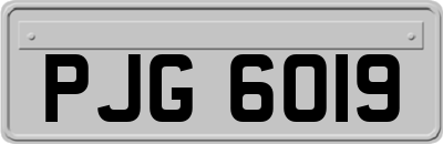 PJG6019