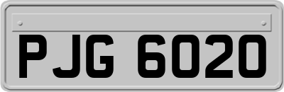 PJG6020