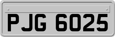 PJG6025