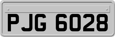 PJG6028