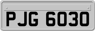 PJG6030