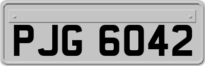 PJG6042