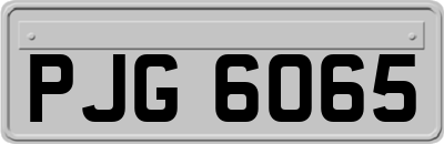 PJG6065