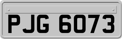PJG6073