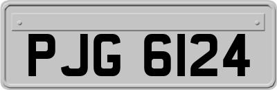 PJG6124