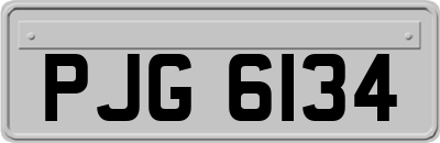 PJG6134