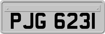 PJG6231