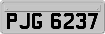 PJG6237
