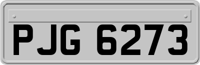 PJG6273