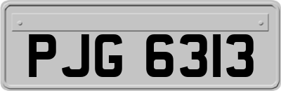PJG6313