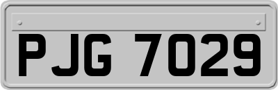 PJG7029