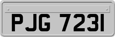 PJG7231