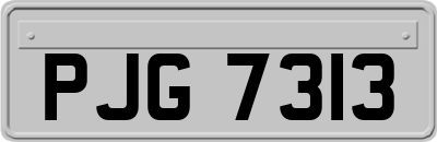 PJG7313