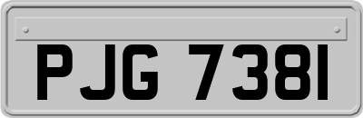 PJG7381